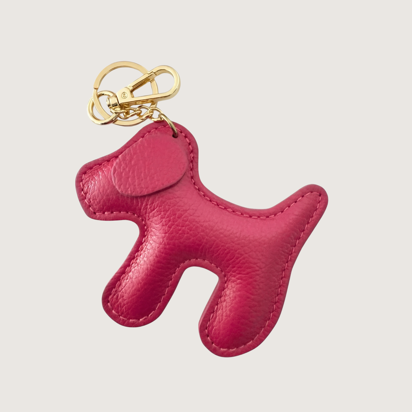 CHARM PERRITO