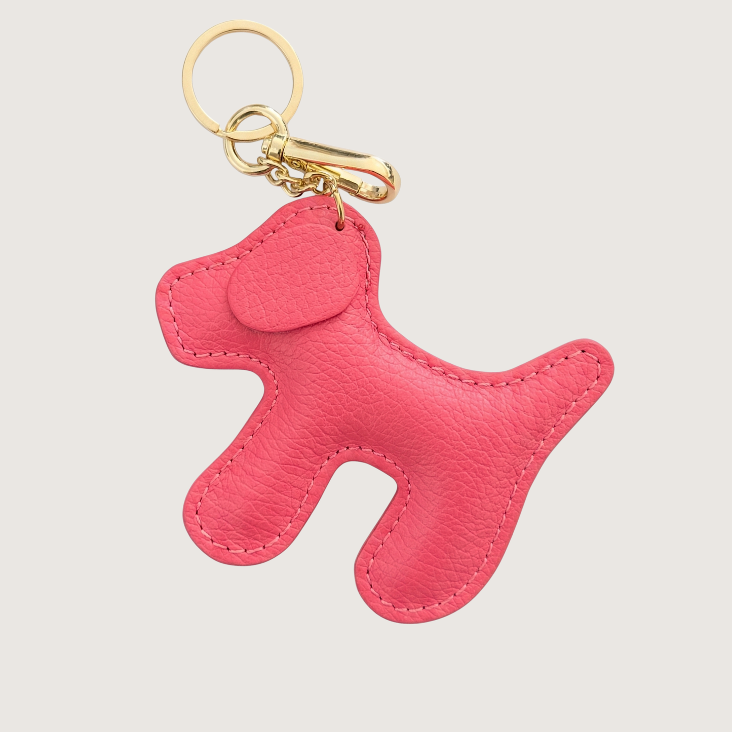 CHARM PERRITO